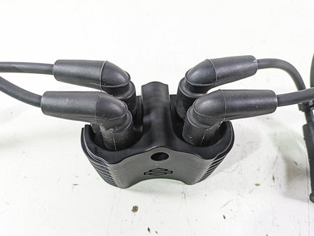2021 Harley Softail FLSL Slim Ignition Coil Wires Plugs -Tested 31600067 {{ shop.shopifyCountryName }} - Mototech271