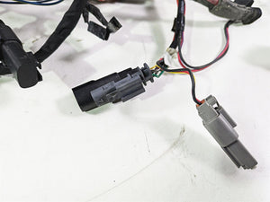 2021 Harley Softail FXST Standard Main Wiring Harness - No Abs - No Cut 69201493