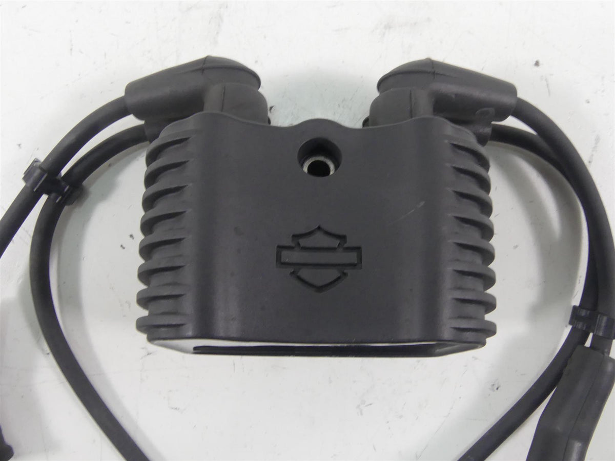 2021 Harley Softail FLSB Sport Glide Ignition Coil Wires Plugs 31600067 {{ shop.shopifyCountryName }} - Mototech271