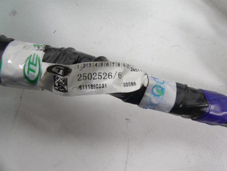 2020 Triumph Speed Triple RS 1050 Wiring Harness Loom -No Cuts T2502526 {{ shop.shopifyCountryName }} - Mototech271