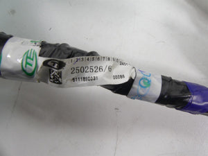 2020 Triumph Speed Triple RS 1050 Wiring Harness Loom -No Cuts T2502526