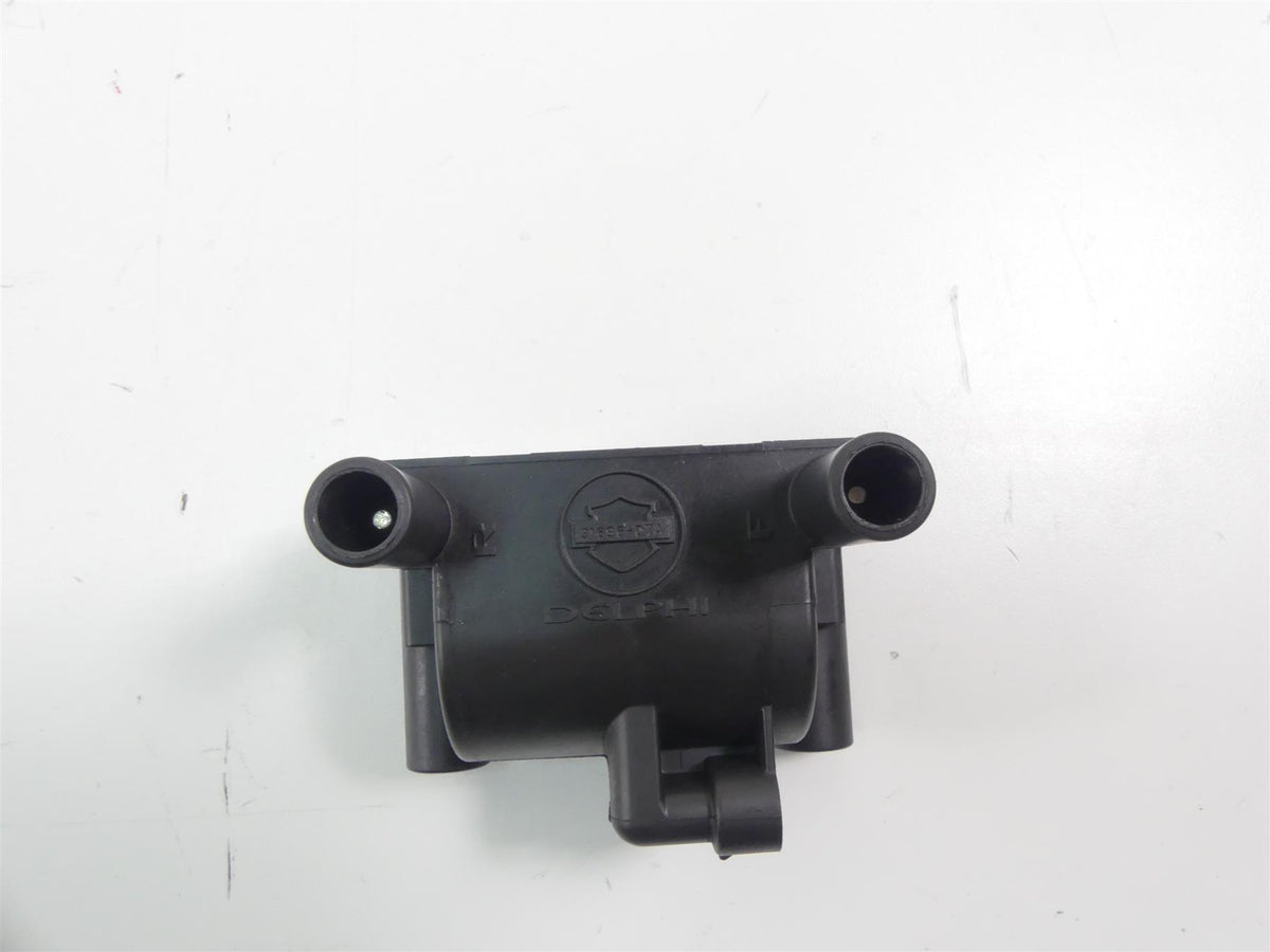 2013 Harley FXDWG Dyna Wide Glide Delphi Ignition Coil & Wires & plugs 31696-07 {{ shop.shopifyCountryName }} - Mototech271