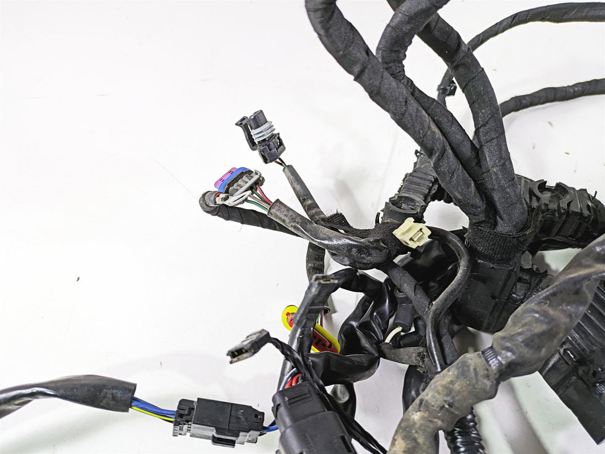 2012 Harley FLD Dyna Switchback Main Wiring Harness Loom -No Cuts 71072-12A {{ shop.shopifyCountryName }} - Mototech271