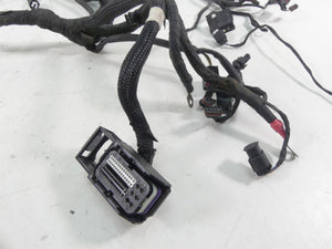 2009 BMW F800GS K72 Main & Engine Wiring Harness Abs 61117705426 12517705428