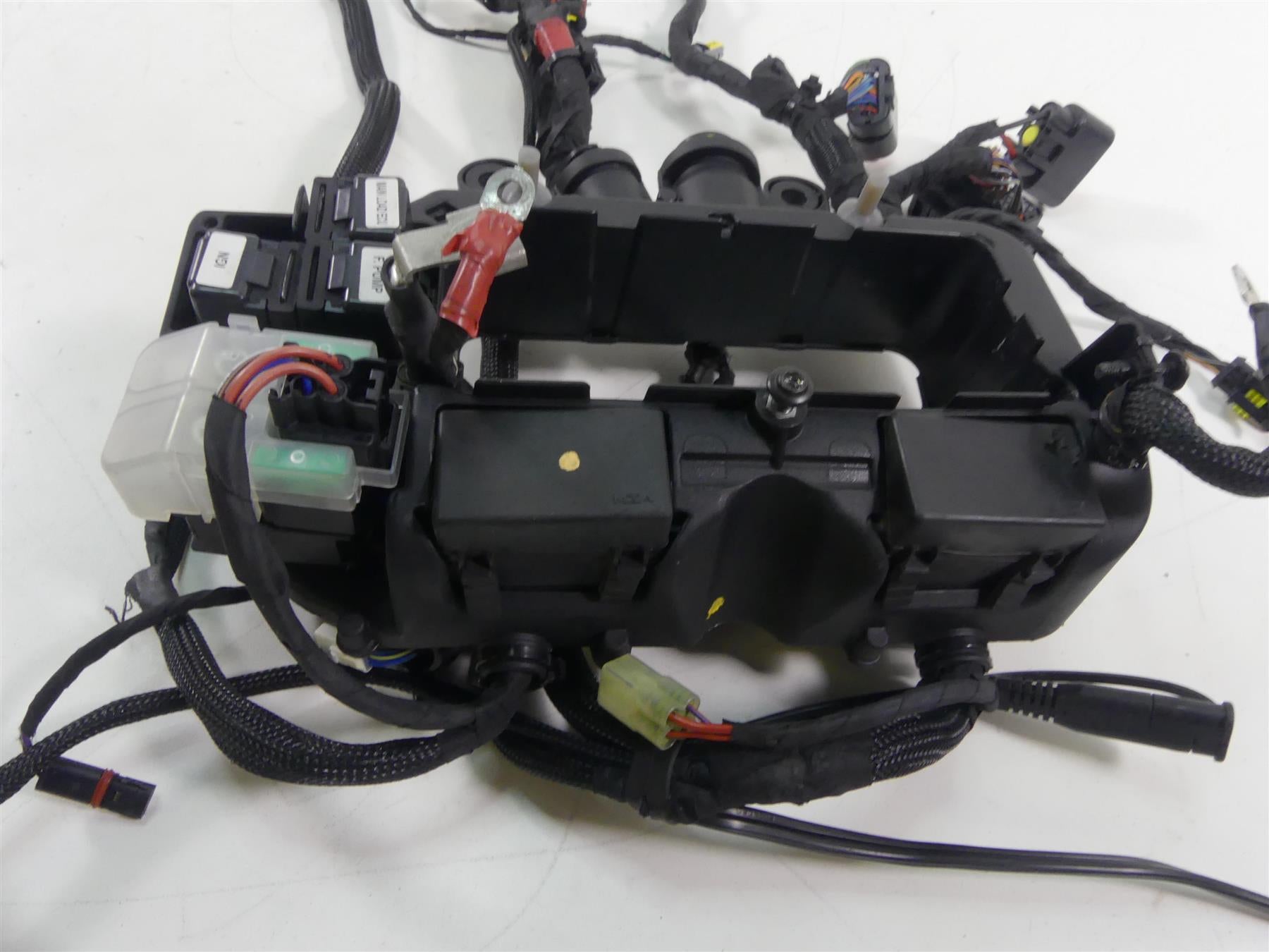 2018 Ducati Panigale 1100 V4 S Wiring Harness Loom Set 5101C371E 5101C381E {{ shop.shopifyCountryName }} - Mototech271