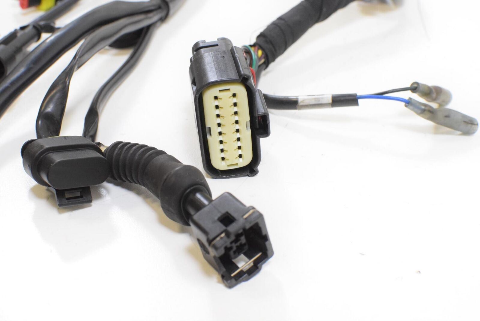 2010 Ducati 1099cc Streetfighter Main Wiring Harness Loom NO CUTS 510.1.662.1B {{ shop.shopifyCountryName }} - Mototech271