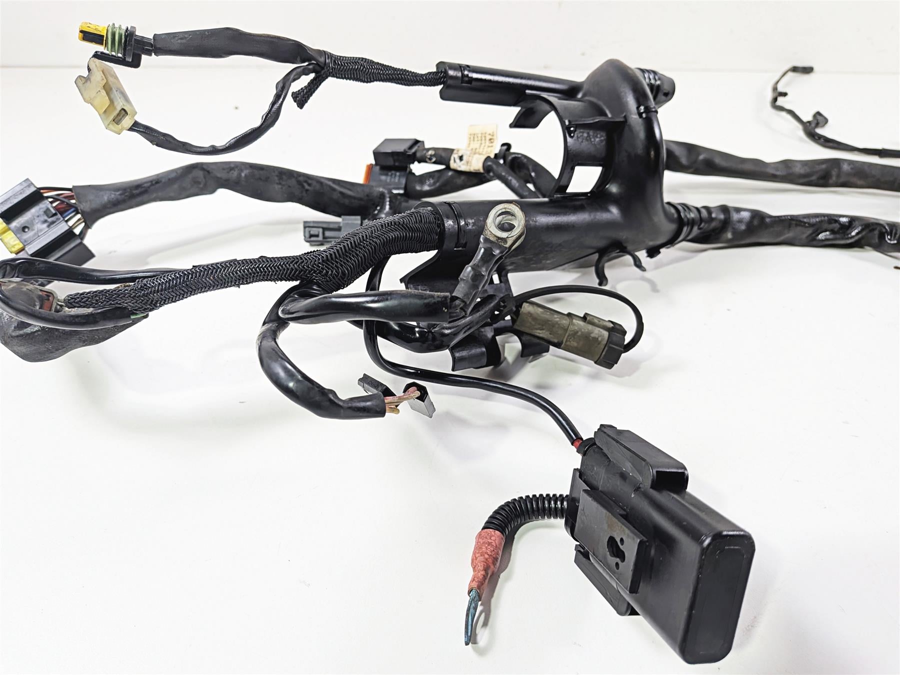 2006 Harley Sportster XL1200 C Main Wiring Harness Loom - Read 70139-06 {{ shop.shopifyCountryName }} - Mototech271