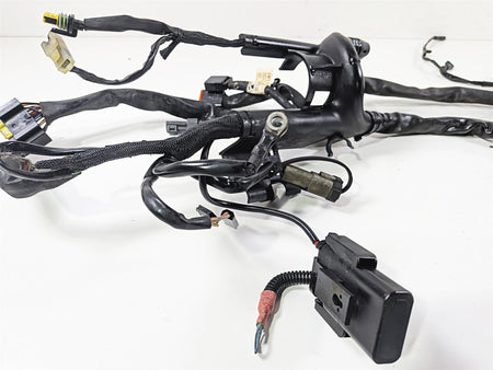 2006 Harley Sportster XL1200 C Main Wiring Harness Loom - Read 70139-06 {{ shop.shopifyCountryName }} - Mototech271