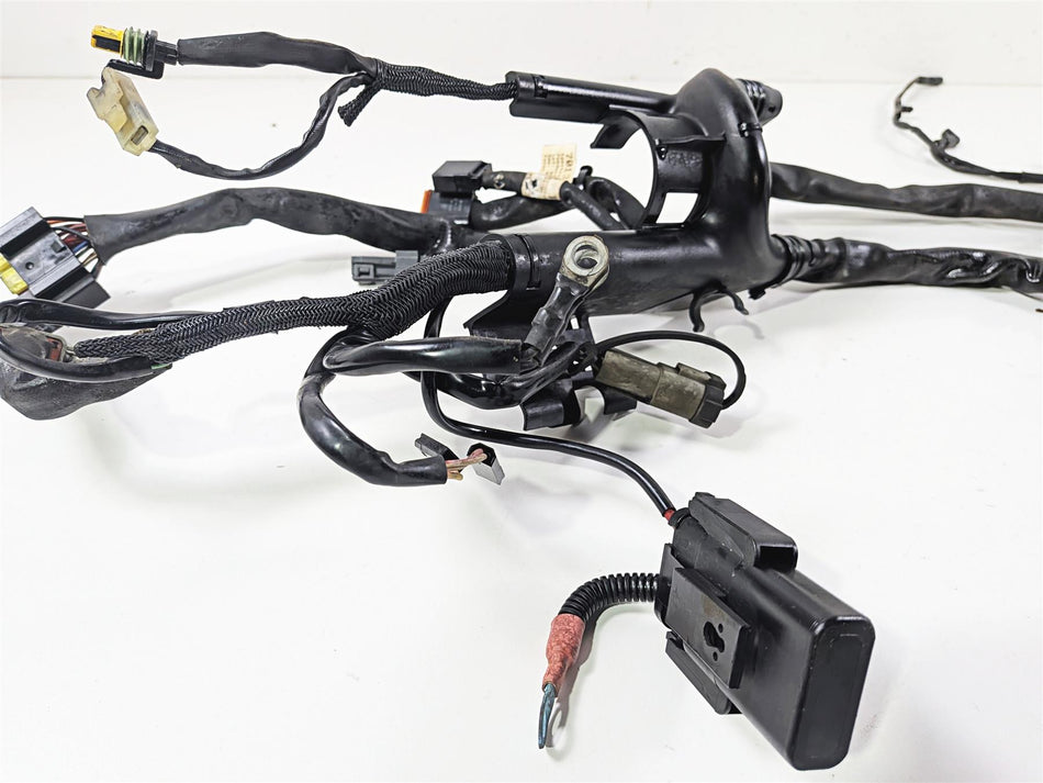 2006 Harley Sportster XL1200 C Main Wiring Harness Loom - Read 70139-06 {{ shop.shopifyCountryName }} - Mototech271