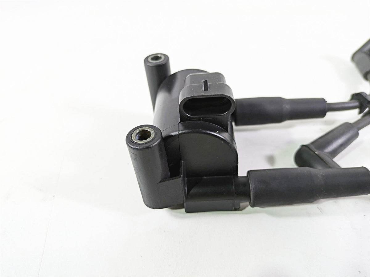 2014 Harley FXDL Dyna Low Rider Delphi Ignition Coil Wires Plugs 31696-07A {{ shop.shopifyCountryName }} - Mototech271