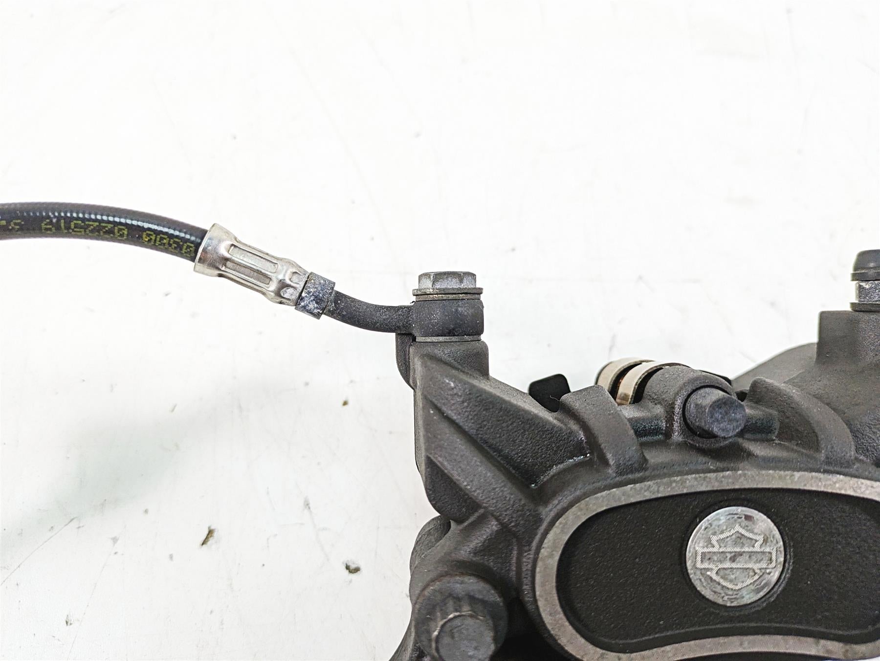 2019 Harley XL883N Sportster Iron Rear Brake Caliper & Bracket, Line 41300039 {{ shop.shopifyCountryName }} - Mototech271