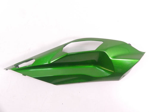 2018 Kawasaki Ninja H2 ZX1002 SX SE Right Tail Side Cover Fairing 36001-0681-60R | Mototech271