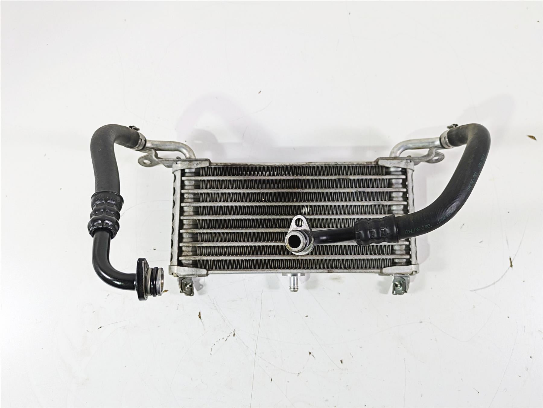 2019 BMW S1000XR K49 Oil Cooler &  Lines Straight No Leaks 17218545633