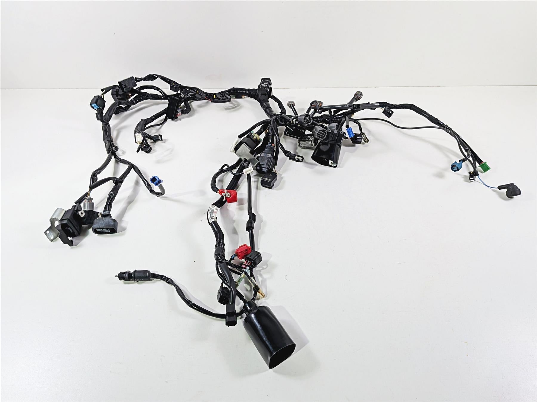 2024 Kawasaki EX500 Ninja 40th An. Wiring Harness Loom -No Cuts 26031-4300 {{ shop.shopifyCountryName }} - Mototech271