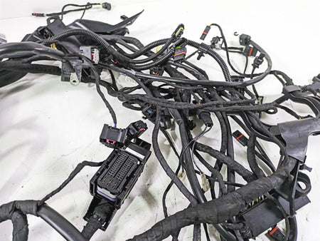 2014 BMW R1200 RT RTW K52 Main & Engine Wiring Harness Central Locking ESA 61118554241 {{ shop.shopifyCountryName }} - Mototech271
