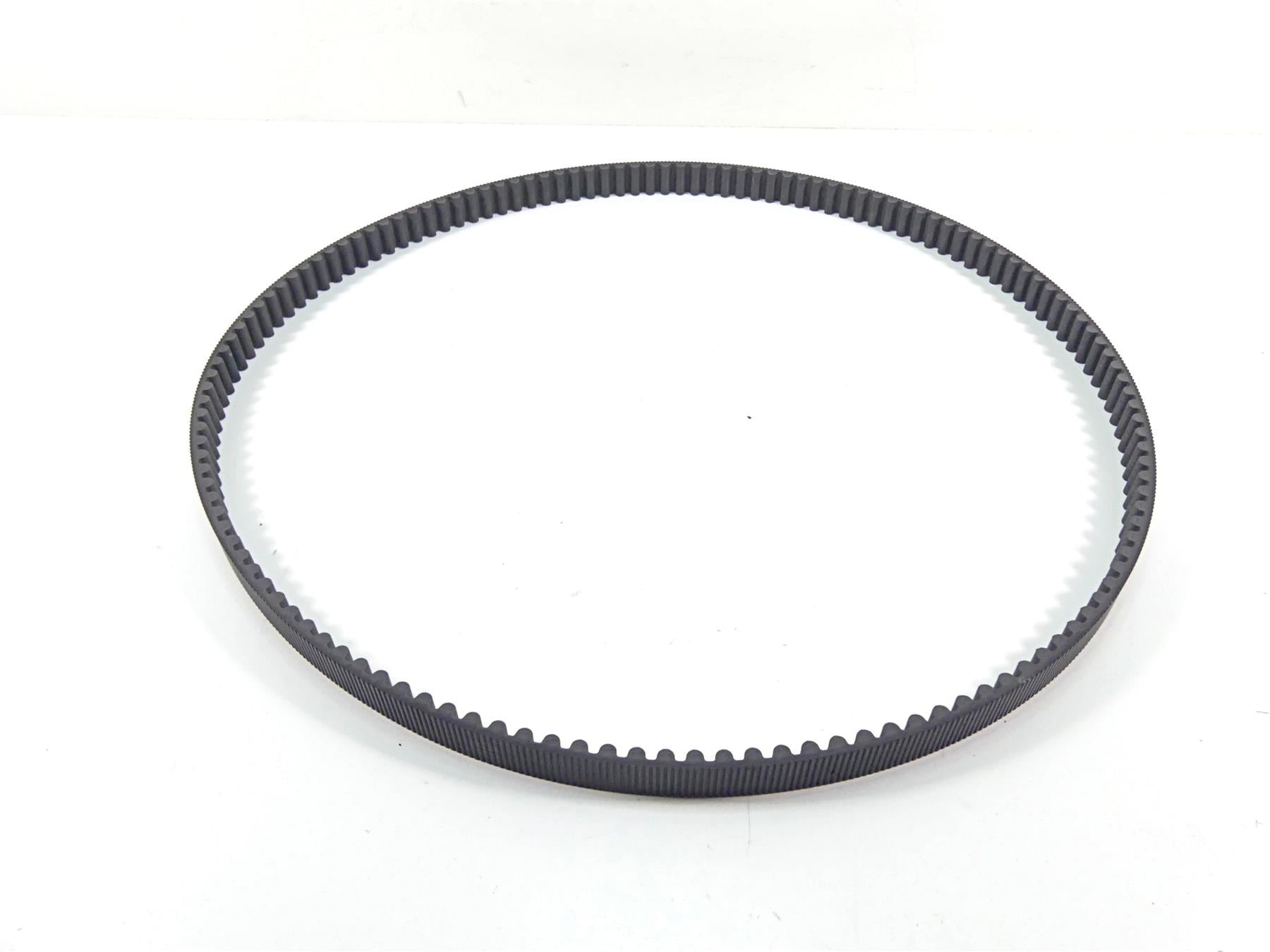 2005 Harley Sportster XL1200 C Nice Rear Drive Belt 137T 1 1/8" 40571-04B {{ shop.shopifyCountryName }} - Mototech271