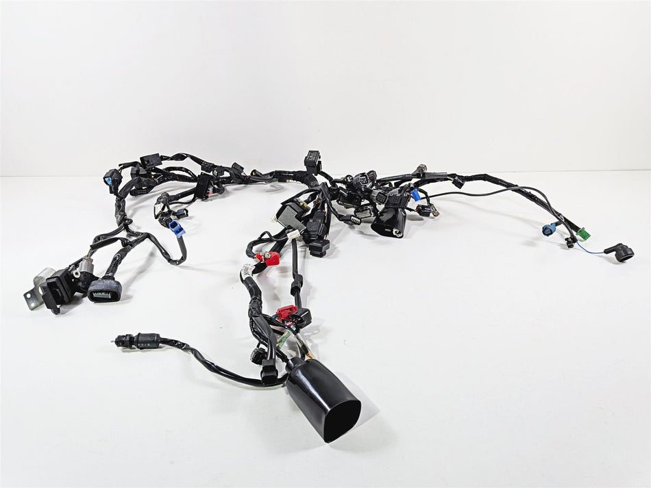 2024 Kawasaki EX500 Ninja 40th An. Wiring Harness Loom -No Cuts 26031-4300 {{ shop.shopifyCountryName }} - Mototech271