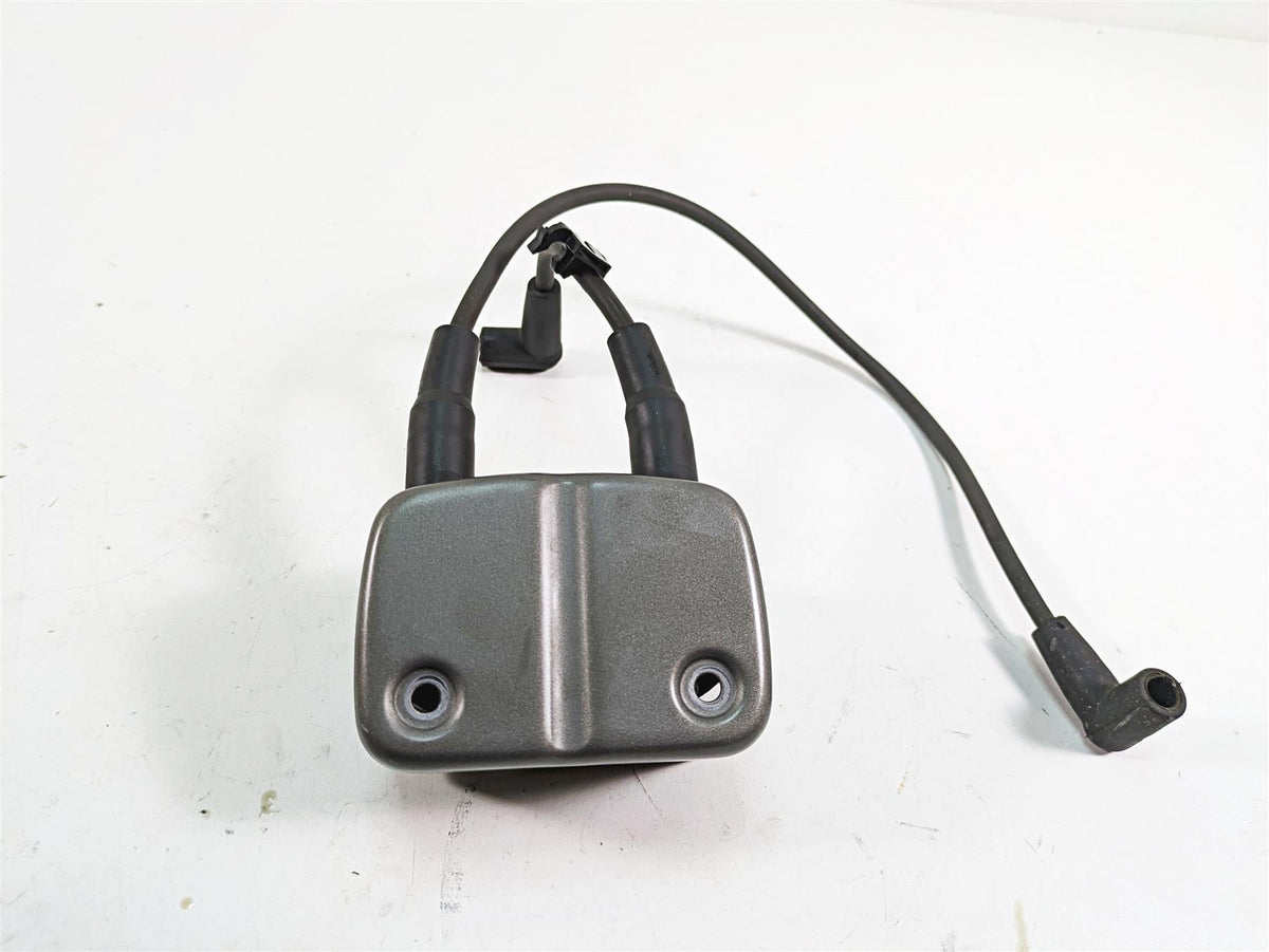 2009 Harley Dyna FXDFSE CVO Fat Bob Delphi Ignition Coil Wires Plug Set 31743-01 {{ shop.shopifyCountryName }} - Mototech271