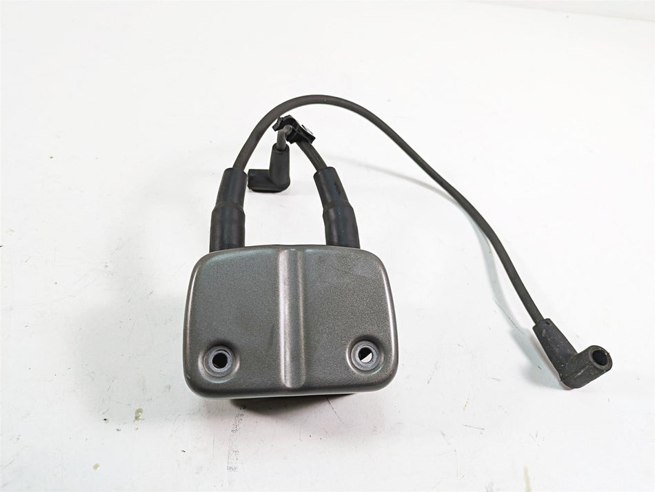 2009 Harley Dyna FXDFSE CVO Fat Bob Delphi Ignition Coil Wires Plug Set 31743-01 {{ shop.shopifyCountryName }} - Mototech271