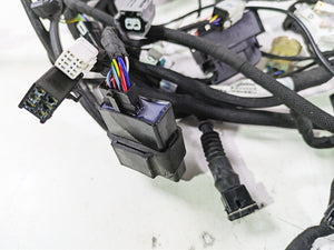 2022 MV Agusta F3 800 Rosso Main Wiring Harness Loom 8000C8926