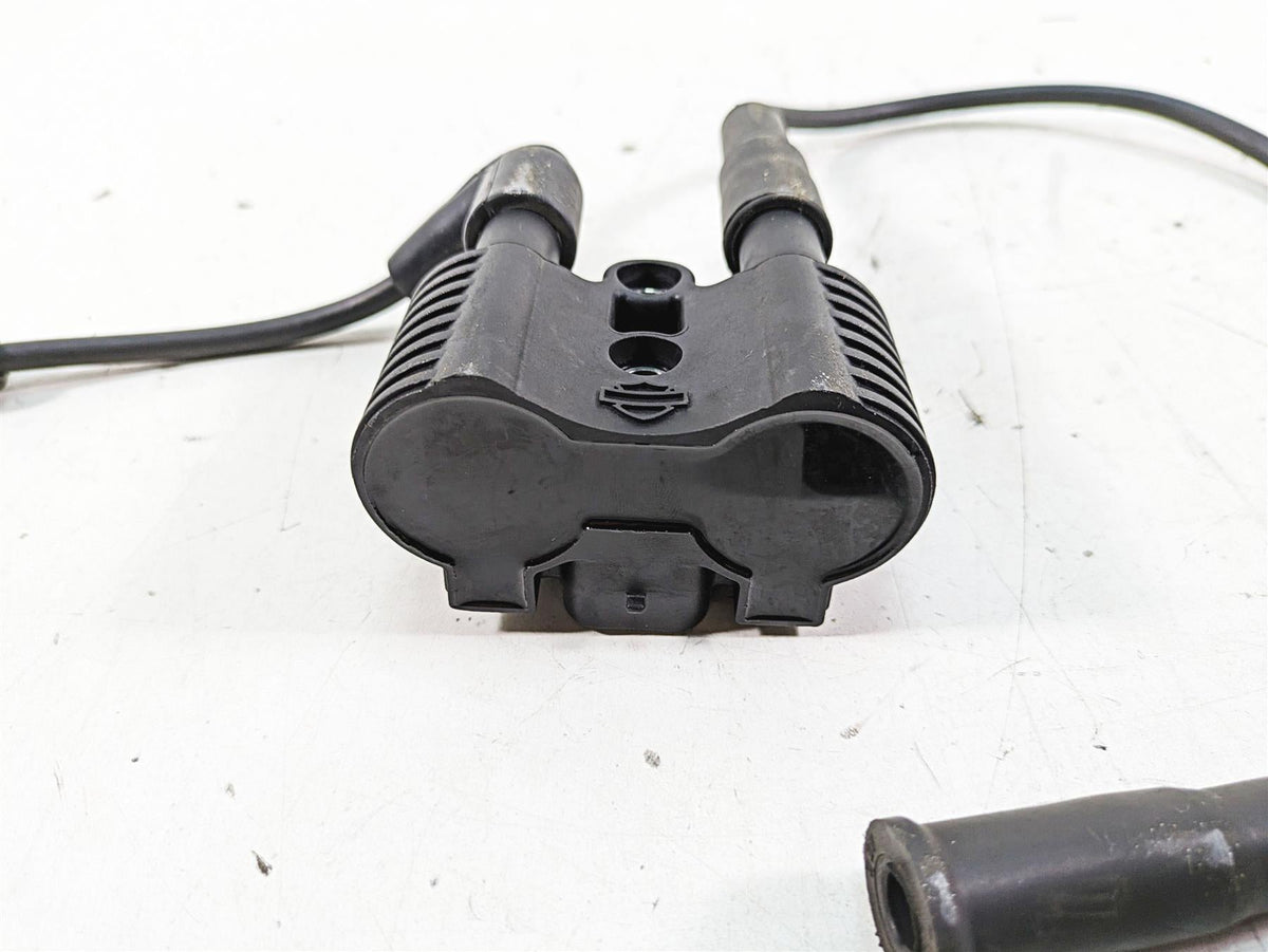 2017 Harley XL883 N Sportster Iron Ignition Coil Wires & Plugs 31656-07 {{ shop.shopifyCountryName }} - Mototech271