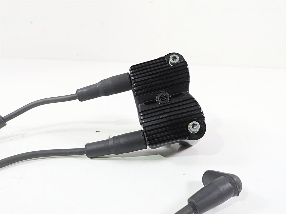 2014 Harley FXDF Dyna Fat Bob Ignition Coil Wires Plugs Set Delphi 31696-07A {{ shop.shopifyCountryName }} - Mototech271