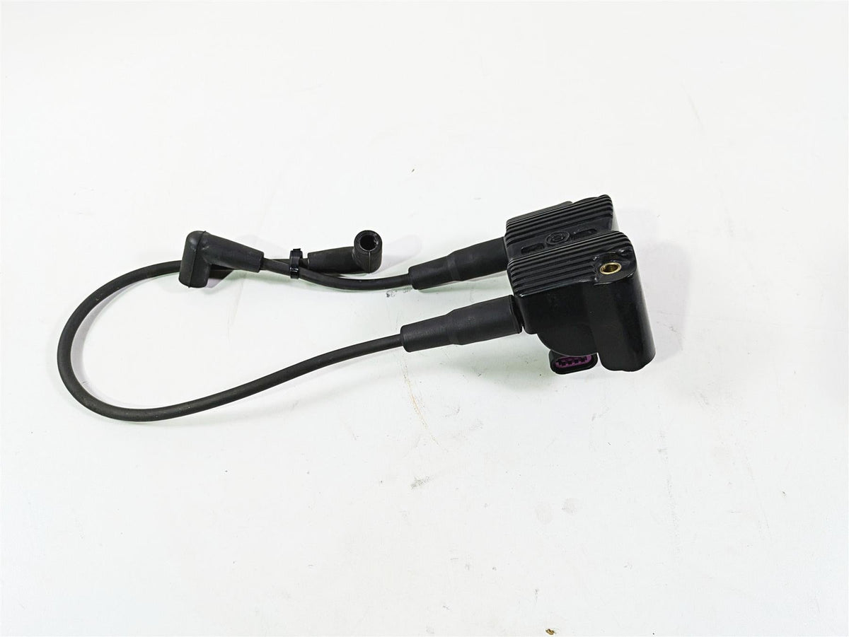 2016 Harley FXDL Dyna Low Rider Delphi Ignition Coil Wires Plugs 31696-07A {{ shop.shopifyCountryName }} - Mototech271