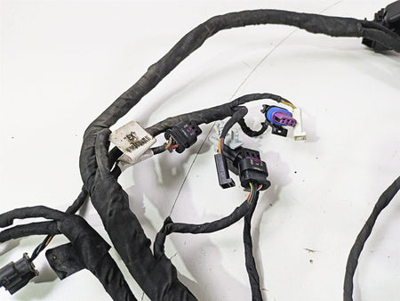 2022 Harley RA1250 S Pan America Engine Wiring Harness No Cuts 69201899A {{ shop.shopifyCountryName }} - Mototech271