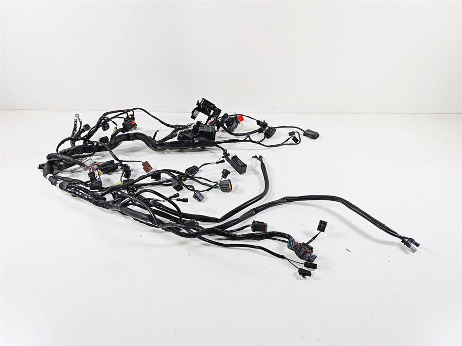 2020 Triumph Street Triple 765RS Main Wiring Harness Loom - No Cuts T2507125-Mototech271