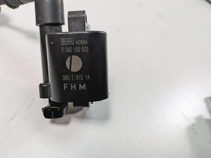 2011 Ducati Hypermotard 1100 Evo SP Beru Ignition Coil Wires Plugs Set 38010151A