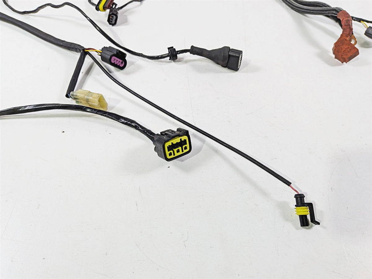 2016 Mv Agusta F3 800 RR Main Wiring Harness Loom - No Cuts 8000B9861-Mototech271