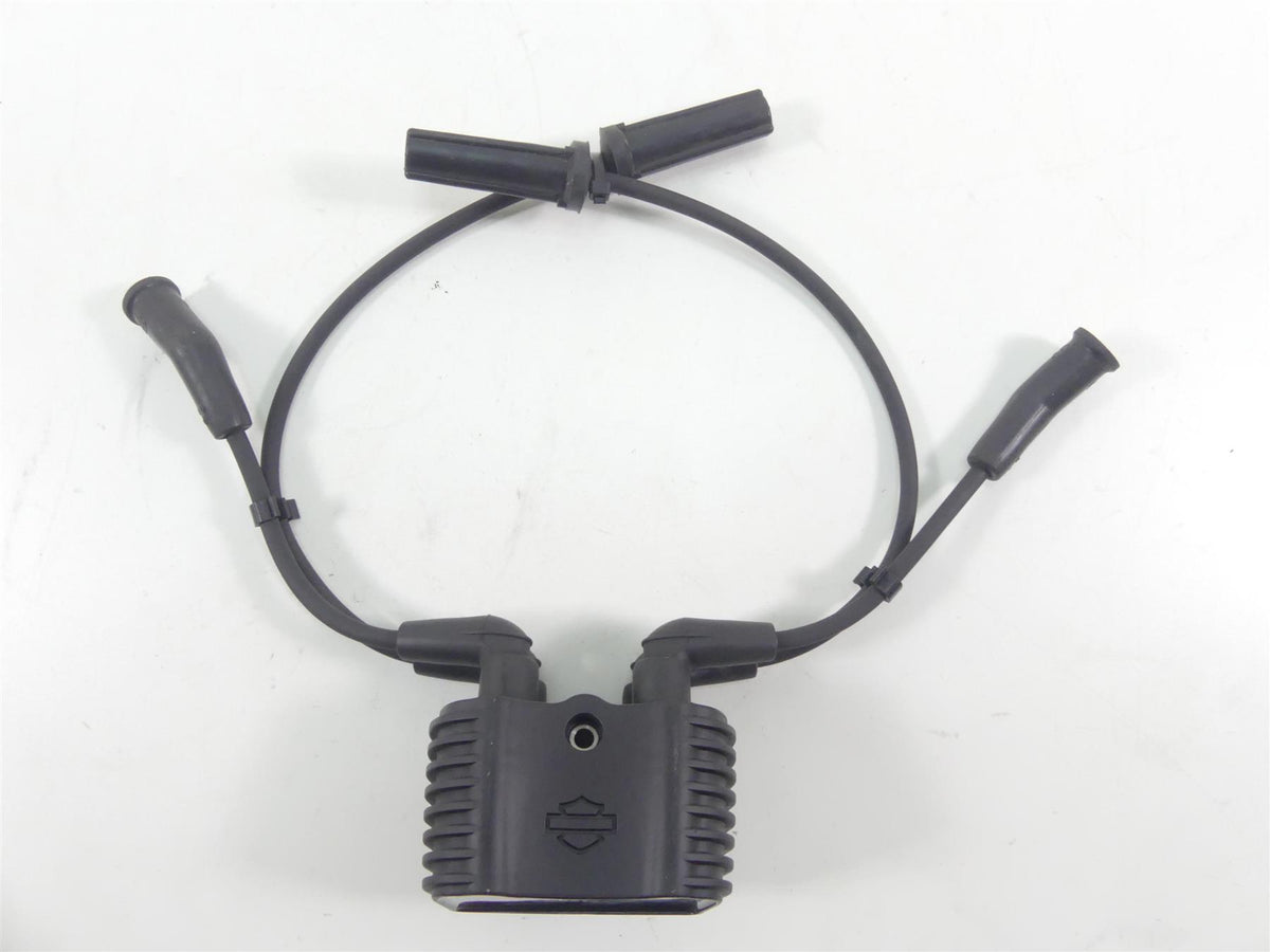 2022 Harley Softail FXBBS Street Bob Ignition Coil Wires Plugs Set 31600067 {{ shop.shopifyCountryName }} - Mototech271
