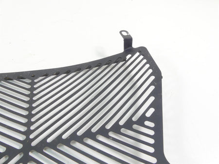 2016 BMW S1000XR K49 Aftermarket Radiator Guard Grill Cover {{ shop.shopifyCountryName }} - Mototech271