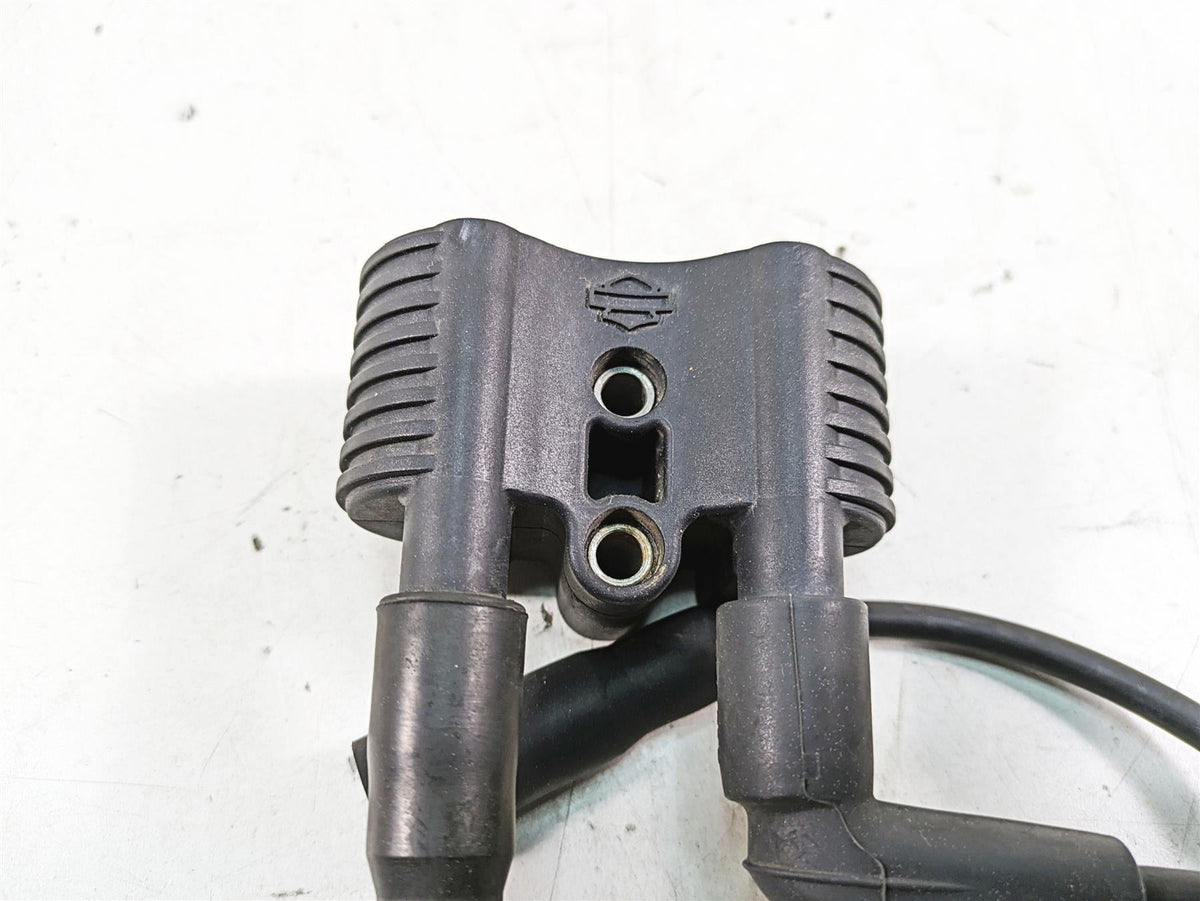 2007 Harley Sportster XL1200 C Ignition Coil Wires & Plugs 31656-07 {{ shop.shopifyCountryName }} - Mototech271