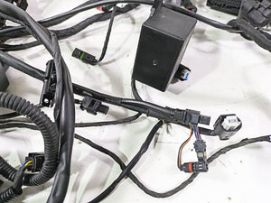 2016  BMW R1200GS GSW K50 Main & Engine Wiring Harness -No Cuts 61118562116 | Mototech271