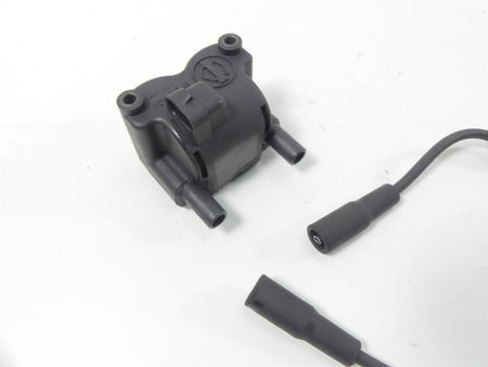 2015 Harley FLS Softail Slim Delphi Ignition Coil & Wires 31743-01 {{ shop.shopifyCountryName }} - Mototech271