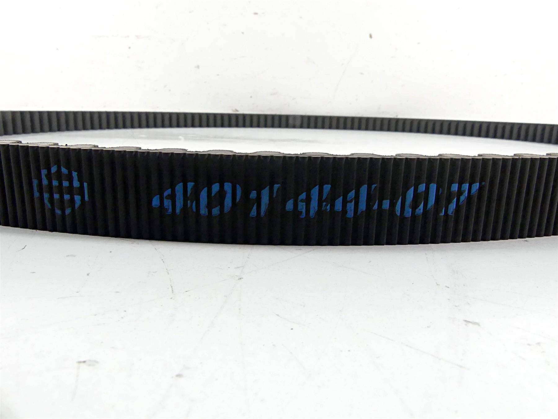 2015 Harley Davidson VRSCDX Night Rod Sp Rear Drive Belt 151T 40144-07 {{ shop.shopifyCountryName }} - Mototech271