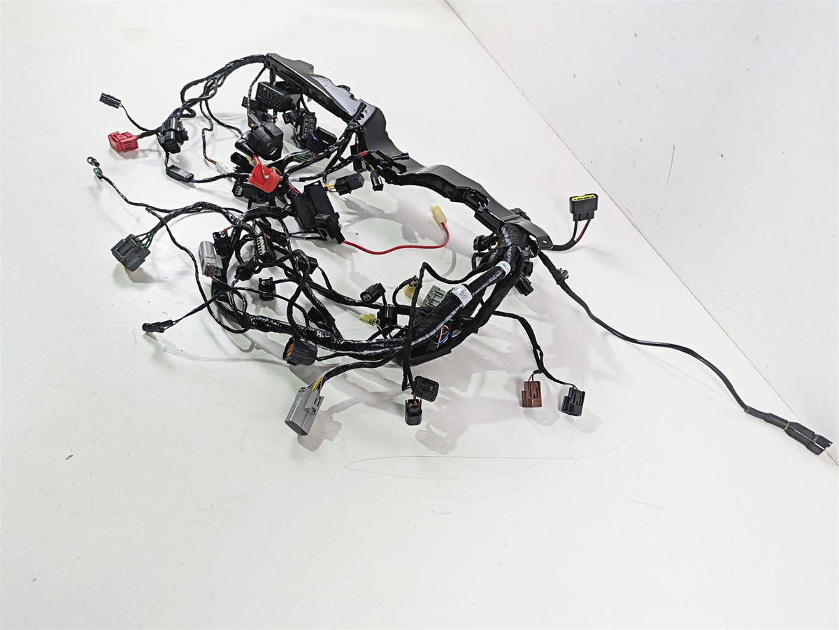 2024 Triumph Street Triple 765 R Main Wiring Harness Loom - No Cuts T2509765 {{ shop.shopifyCountryName }} - Mototech271
