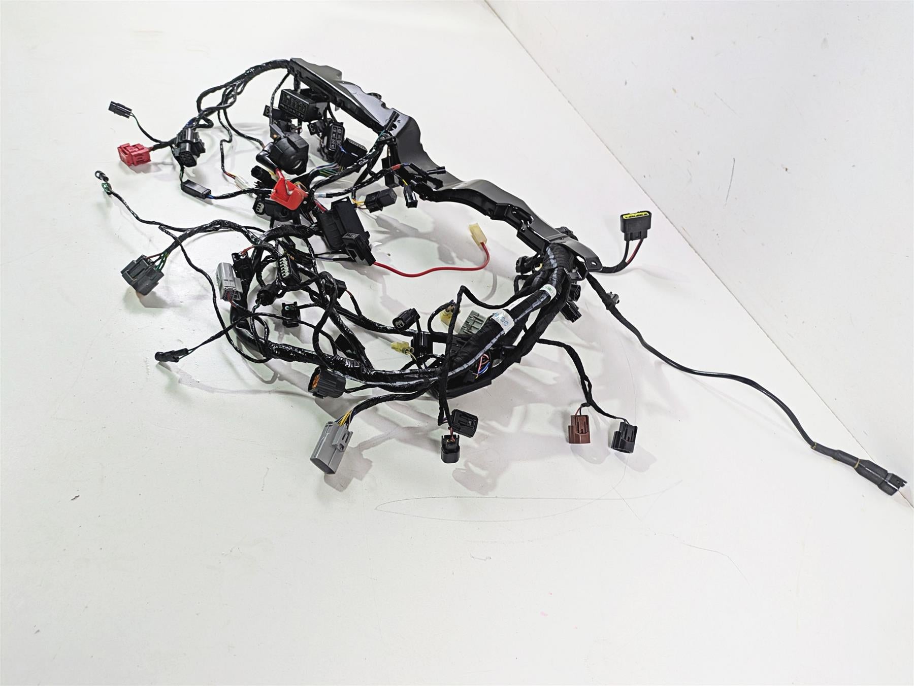 2024 Triumph Street Triple 765 R Main Wiring Harness Loom - No Cuts T2509765 {{ shop.shopifyCountryName }} - Mototech271