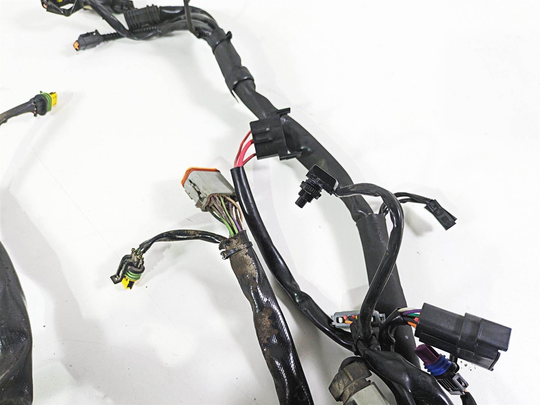 2008 Harley FLSTC Softail Heritage Main Wiring Harness Loom 70431-08A {{ shop.shopifyCountryName }} - Mototech271