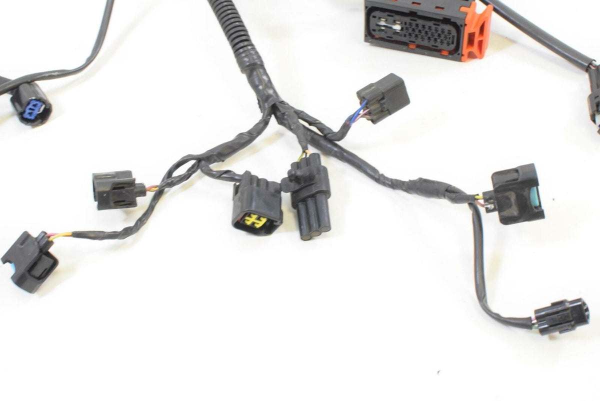 2011 Triumph Tiger 800XC 800 ABS Main Wiring Harness Loom T2508021 {{ shop.shopifyCountryName }} - Mototech271
