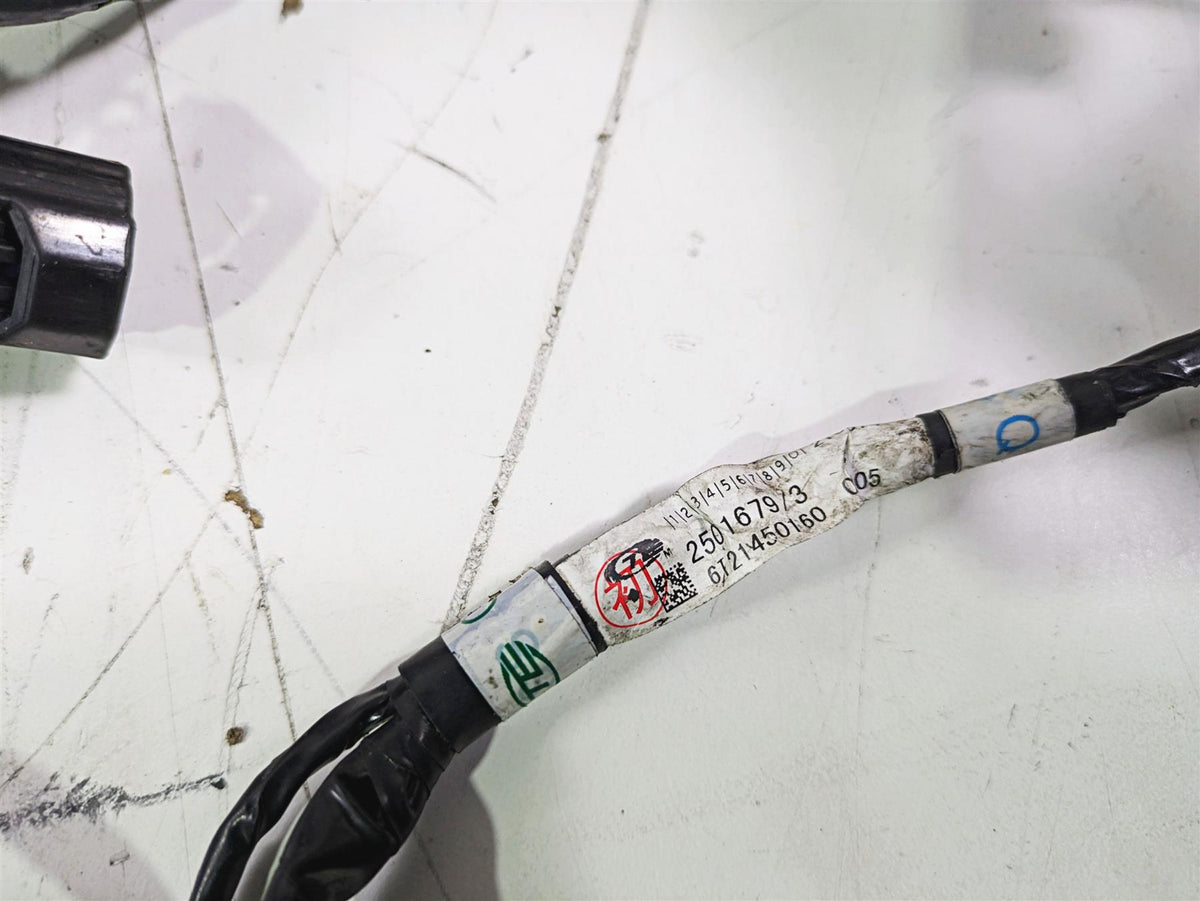 2012 Triumph Daytona 675 Main Wiring Harness Loom - For Parts T2501679 {{ shop.shopifyCountryName }} - Mototech271