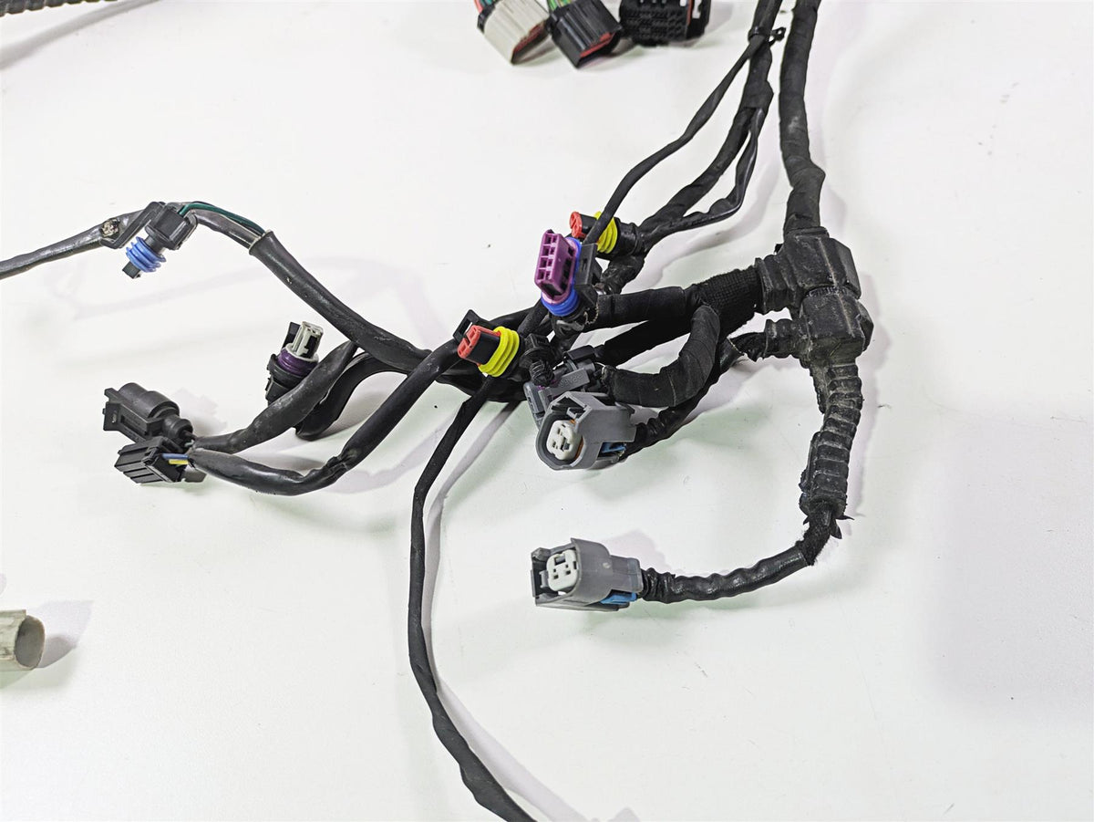 2014 Harley FXDF Dyna Fat Bob Wiring Harness Loom Non Abs 71075-12A 69200455 {{ shop.shopifyCountryName }} - Mototech271