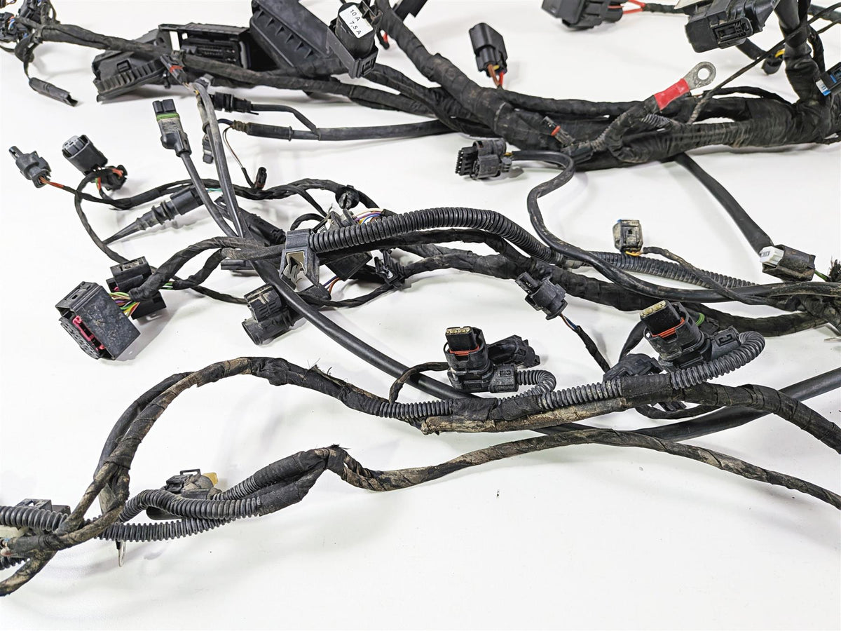 2023 BMW F850GS K81 Main Wiring Harness Loom - No Cuts 61118409327 {{ shop.shopifyCountryName }} - Mototech271