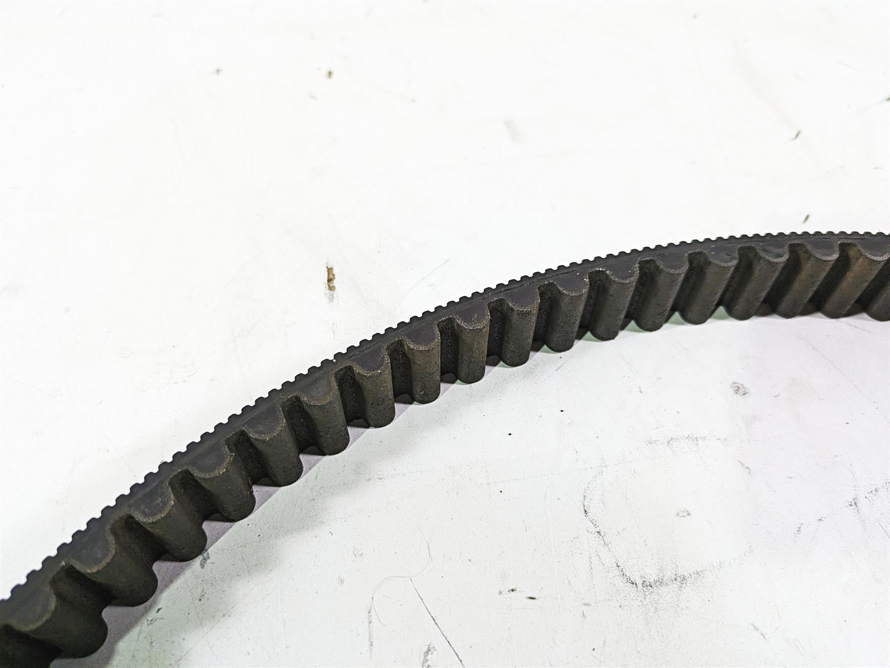 2013 Harley VRSCDX Night Rod Sp Rear Drive Belt 151T 40144-07 {{ shop.shopifyCountryName }} - Mototech271