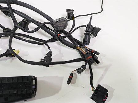 2017 BMW F800GS Adv K75 Engine & Main Wiring Harness 12518566629 61118566632 {{ shop.shopifyCountryName }} - Mototech271