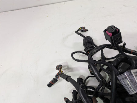 2016 BMW F800R K73 Wiring Harness Loom & Engine Wiring -No ESA 61118556428 {{ shop.shopifyCountryName }} - Mototech271