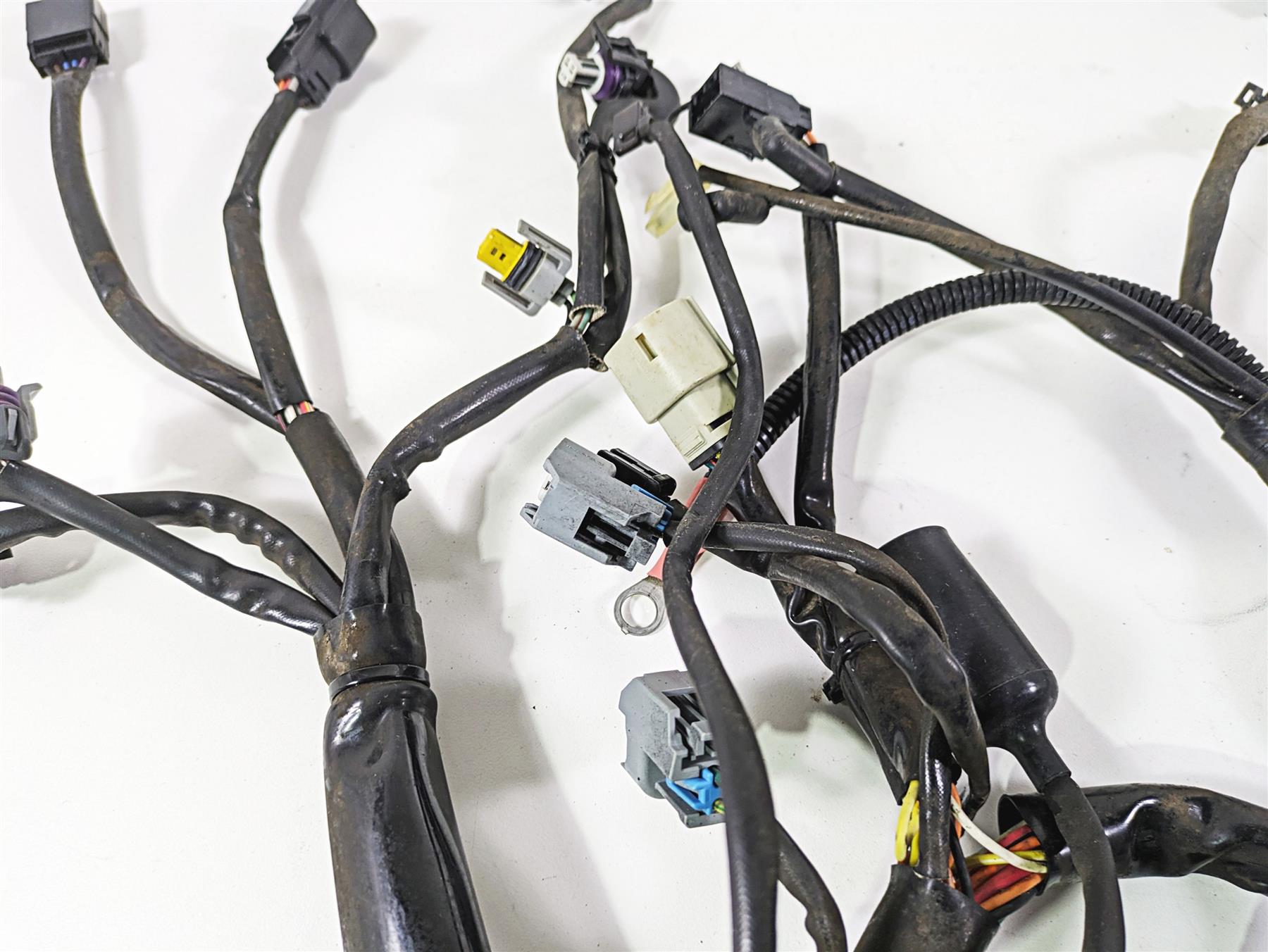 2008 Harley FLSTC Softail Heritage Main Wiring Harness Loom 70431-08A {{ shop.shopifyCountryName }} - Mototech271