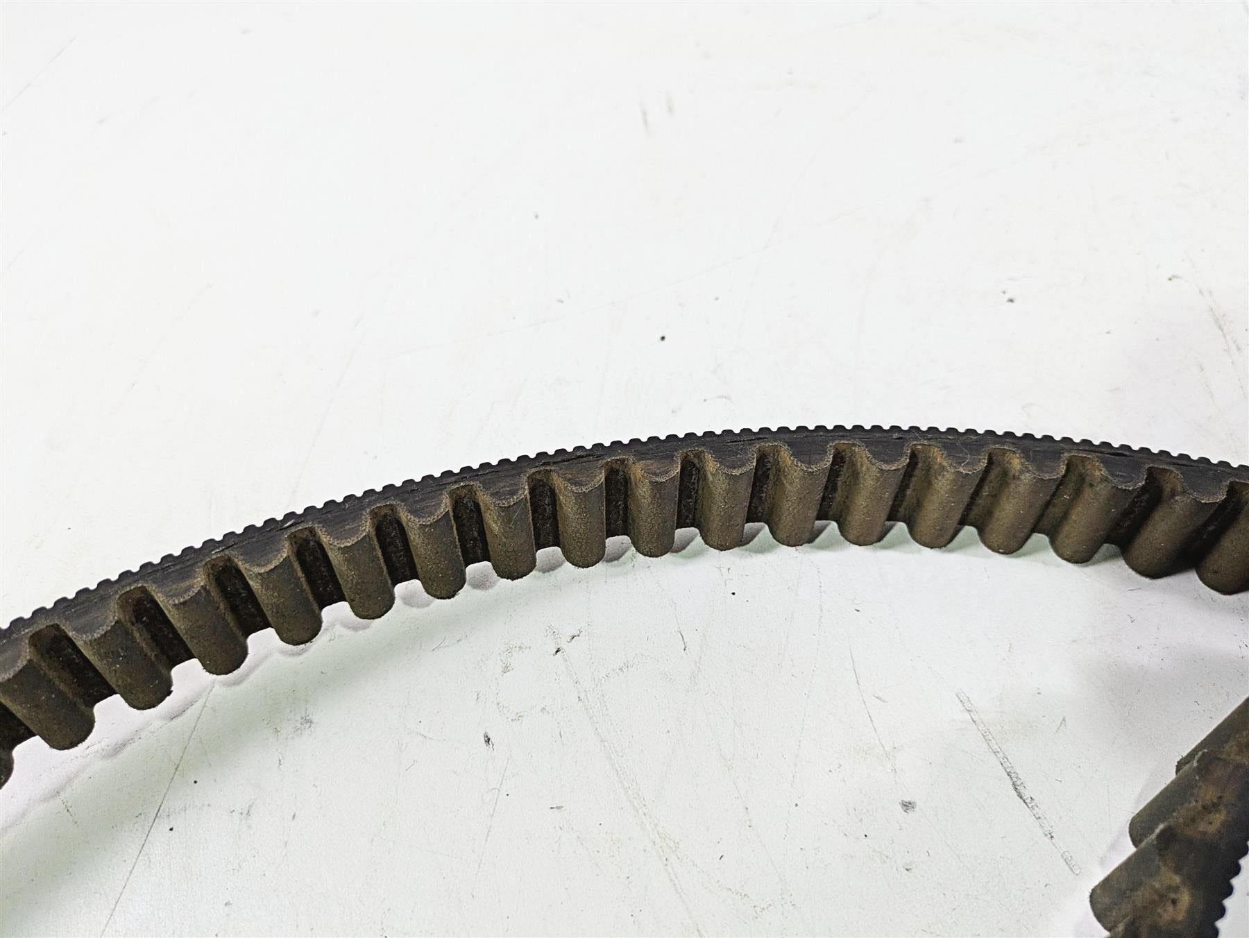 2018 Indian Chieftain Limited Rear Drive Belt 152T 24mm Wide 3211168 {{ shop.shopifyCountryName }} - Mototech271
