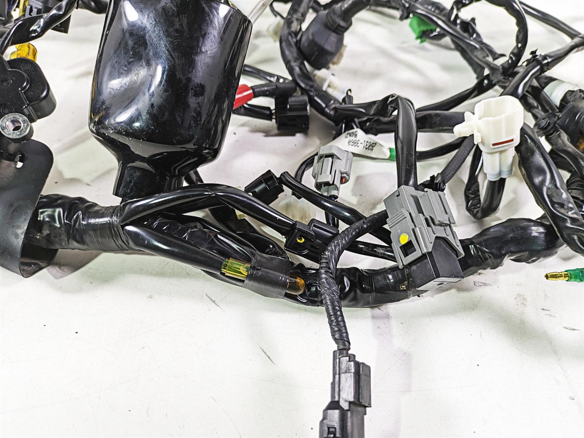 2023 Kawasaki KLR KL 650 Adventure Wiring Harness Loom ABS - No Cuts 26031-3898 {{ shop.shopifyCountryName }} - Mototech271